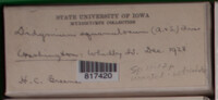 Image Associated With the Occurence